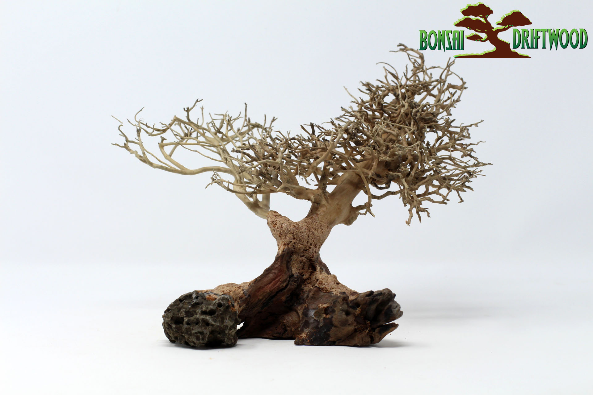 Một mẫu Bonsai driftwood natural tái chế từ các mẩu gỗ nhỏ, đẹp, độc, lạ được rao bán trên website https://bonsaidriftwood.com/ với giá 42$
