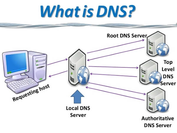 dns dùng trong công việc nào