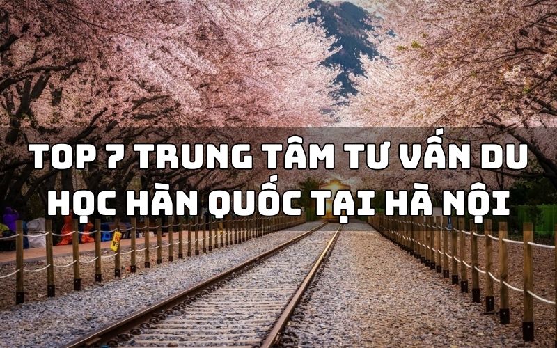 trung tâm tư vấn du học hàn quốc hà nội