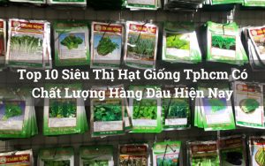 siêu thị hạt giống