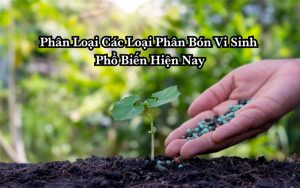 phân bón vi sinh