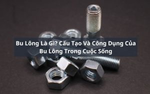 bu lông là gì