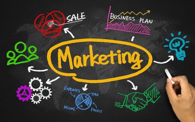 ngành Marketing dành cho phái nữ