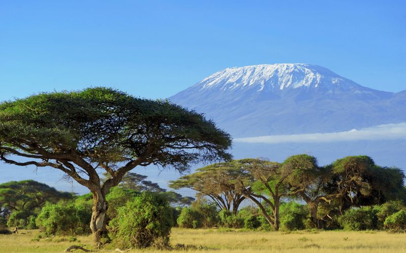 du lịch kenya vào thời điểm nào
