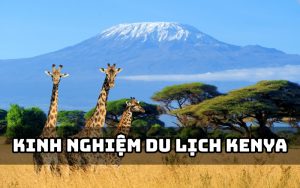kinh nghiệm du lịch kenya