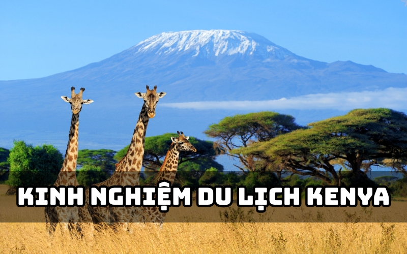 kinh nghiệm du lịch kenya