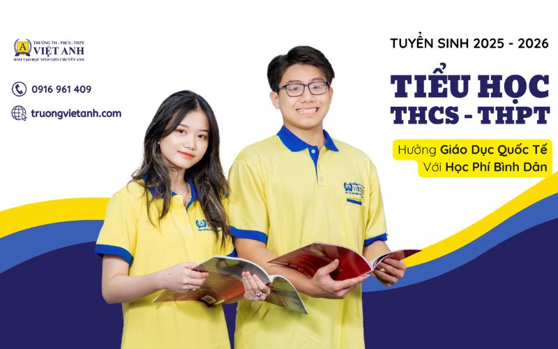 trường việt anh